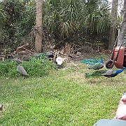 Picture 037